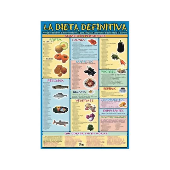 LMINA DIDCTICA LA DIETA DEFINITIVA