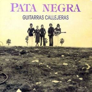 GUITARRAS CALLEJERAS (DISCO VINILO)