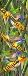 MARCAPAGINAS 3D TREE FROGS TRES RANAS