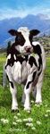 MARCAPAGINAS 3D COW
