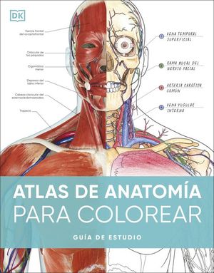 ATLAS DE ANATOMA PARA COLOREAR. GUA DE ESTUDIO
