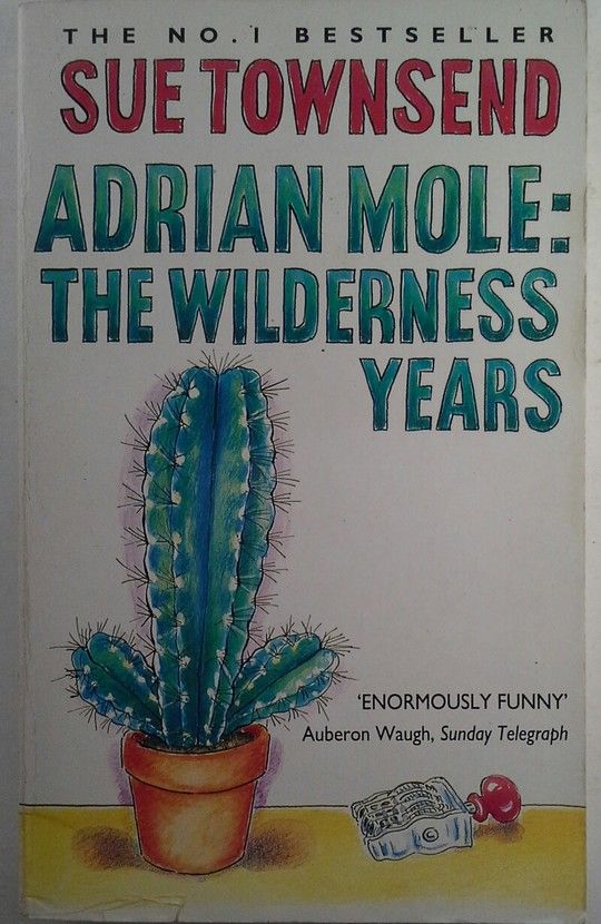 ADRIAN MOLE: THE WILDERNESS YEAR