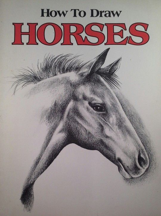 HOW TO DRAW HORSES