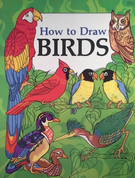 HOW TO DRAW BIRDS