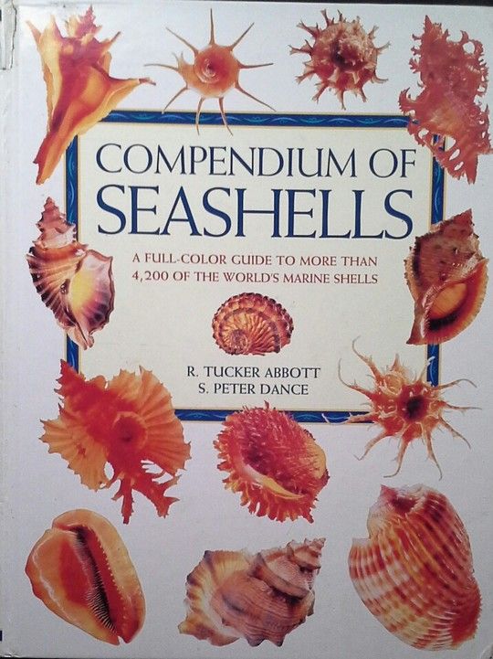 COMPENDIUM OF SEASHELLS