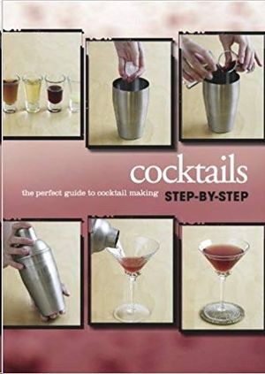PERFECT GUIDE TO COCKTAIL MAKING