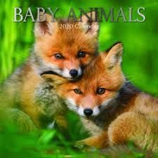 CALENDAR BABY ANIMALS 2020