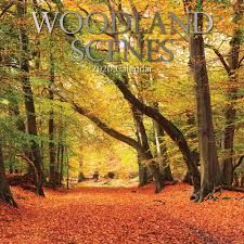 CALENDAR WOODLAND SCENES 2020