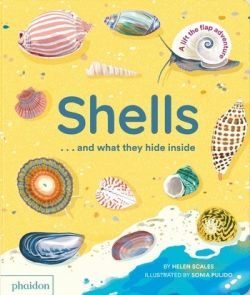 SHELLS AND WHAT THEY HIDE INSIDE