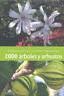 2000 �RBOLES Y ARBUSTOS