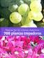 700 PLANTAS TREPADORAS