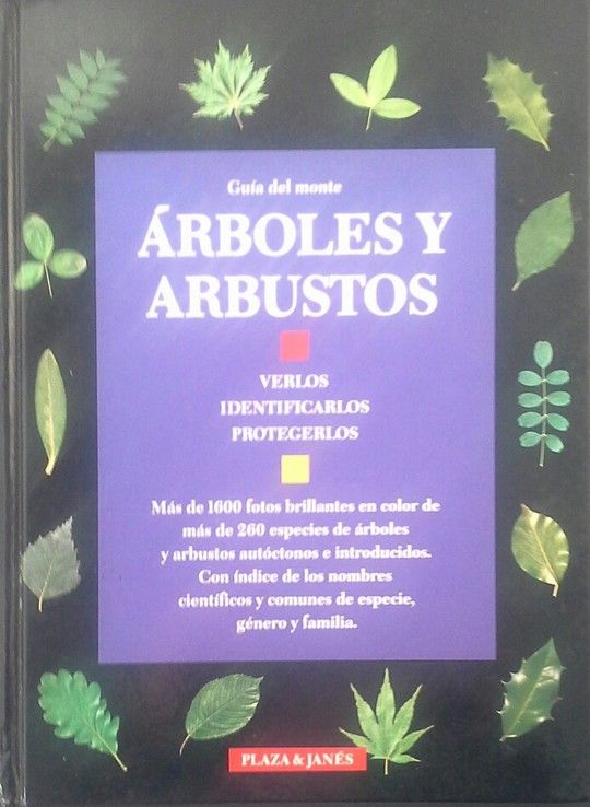 GUIA DEL MONTE. ARBOLES Y ARBUSTOS. VERLOS, IDENTIFICARLOS,
