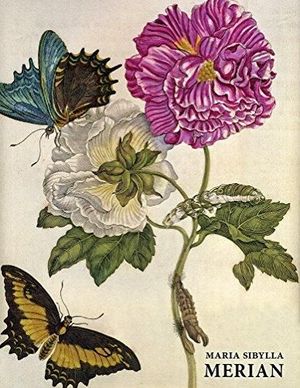 MARIA SIBLYLLA MERIAN- ING