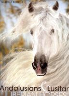 ANDALUSIANS & LUSITANOS. IBERIAN HORSES