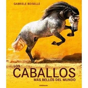 LOS CABALLOS M�S BELLOS DEL MUNDO