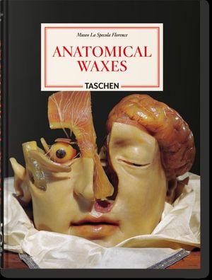 ANATOMICAL WAXES