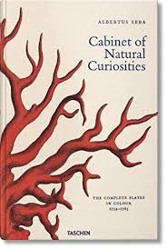 NATURAL CURIOSITIES.