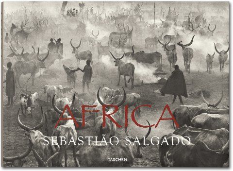 SALGADO, AFRICA