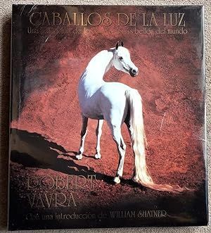 CABALLOS DE LA LUZ