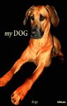 MY DOG