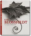 KARL BLOSSFELDT. (25 ANIVERS.) THE COMPLETE PUBLISHED WORK