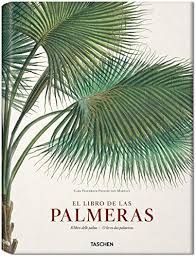 MARTIUS. BOOK OF PALMS