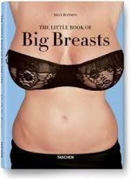 THE LITTLE BIG BOOK OF BREASTS