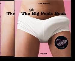 LITTLE BIG PENIS BOOK,THE