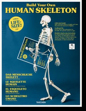 BUILD YOUR OWN HUMAN SKELETON (LIFE-SIZE 1,80M.)