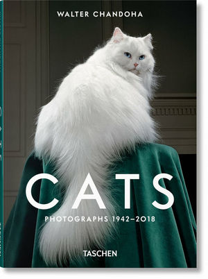CATS PHOTOGRAPHS 1942-2018