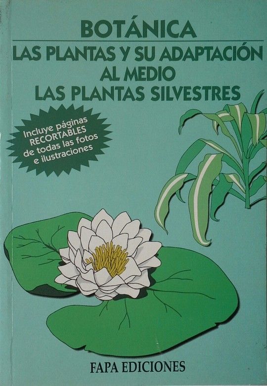 BOTANICA  LAS PLANTAS Y SU ADAPTACI�N AL MEDIO LAS PLANTAS SILVESTRES
