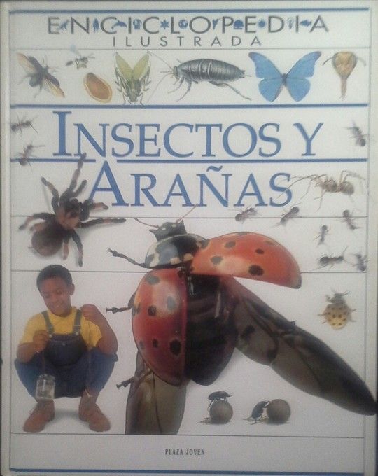 INSECTOS Y ARA�AS