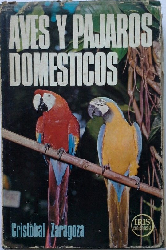 AVES Y PJAROS DOMSTICOS