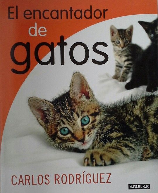 EL ENCANTADOR DE GATOS