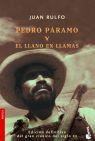 PEDRO PRAMO Y EL LLANO EN LLAMAS