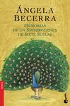 MEMORIAS DE UN SINVERG�ENZA DE SIETE SUELAS