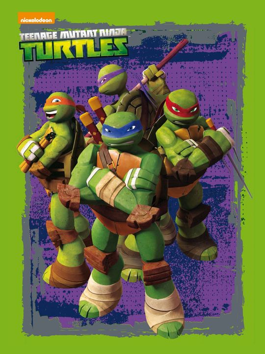 LAS TORTUGAS NINJA. CAJA METLICA