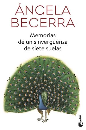 MEMORIAS DE UN SINVERG�ENZA DE SIETE SUELAS