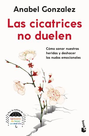 LAS CICATRICES NO DUELEN