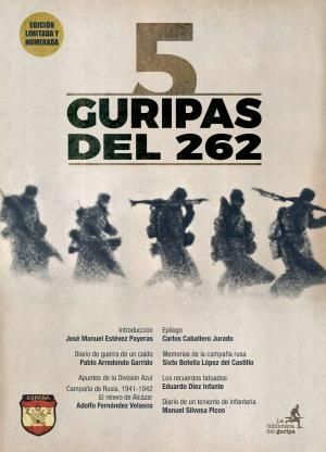 5 GURIPAS DEL 262