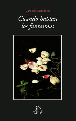 CUANDO HABLAN LOS FANTASMAS