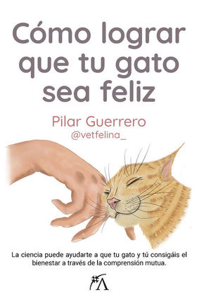 COMO LOGRAR QUE TU GATO SEA FELIZ