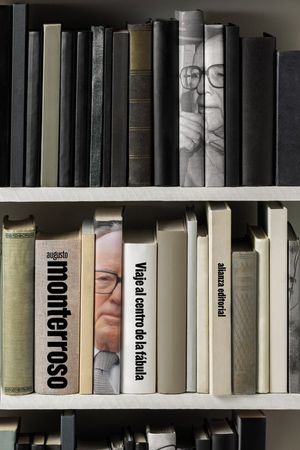 VIAJE AL CENTRO DE LA FABULA