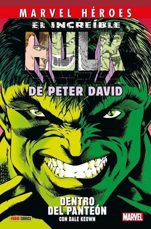 MARVEL HROES 112 EL INCREBLE HULK DE PETER DAVIS 3. DENTRO DEL PANTEN