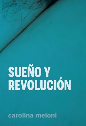 SUEO Y REVOLUCIN