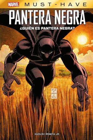 PANTERA NEGRA: QUIN ES PANTERA NEGRA?