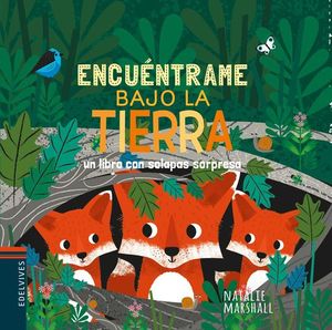 ENCUNTRAME... BAJO LA TIERRA