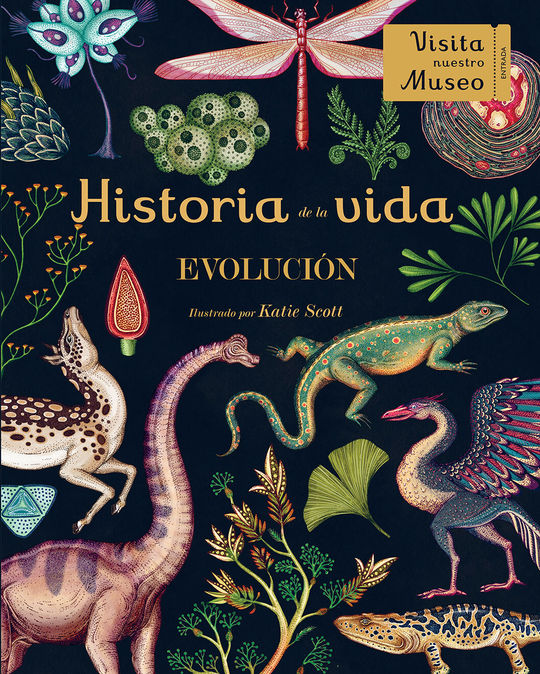 HISTORIA DE LA VIDA: EVOLUCIN