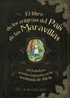 EL LIBRO DE LOS ENIGMAS DEL PA�S DE LAS MARAVILLAS