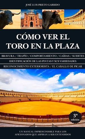 CMO VER EL TORO EN LA PLAZA